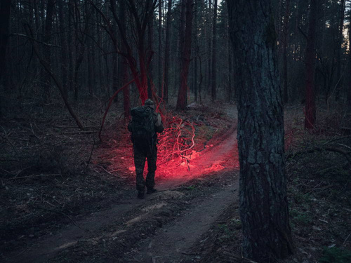 Ліхтарики на голову - Armytek - Wizard C2 WR Magnet USB акумуляторний ліхтар / налобний ліхтар - 1020 люмен - F06901W