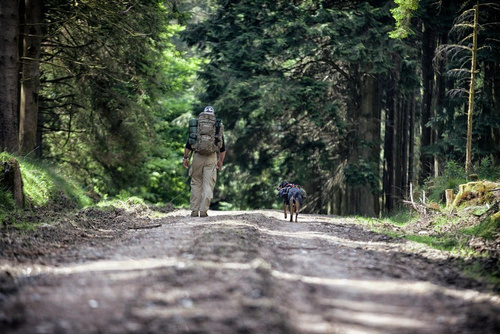 Helikon - Штани тактичніі SFU Next® - чорний - SP-SFN-PR-01 - Штани тактичні