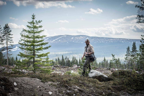 Треккинговые брюки - Helikon - Треккинговые брюки Woodsman® - Taiga Green - SP-WDN-DC-09