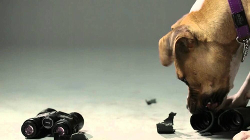 Туризм - Vortex Optics - Мисливський бінокль Diamondback HD 10x28 - DB-211 - Біноклі