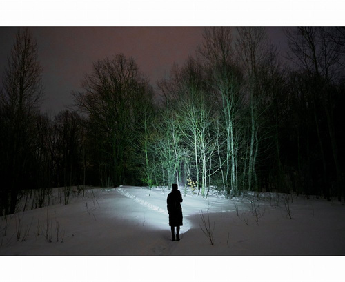 Ліхтарики на голову - Armytek - Акумуляторний ліхтар / налобний ліхтар Elf C2 - 1100 лм - холодне світло - F05103C