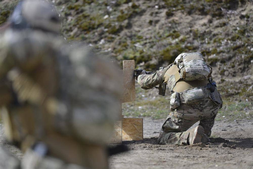 Городские рюкзаки - Direct Action - Plecak Spitfire Mk II Backpack Panel - Adaptive Green - PL-SPBK-CD5-AGR