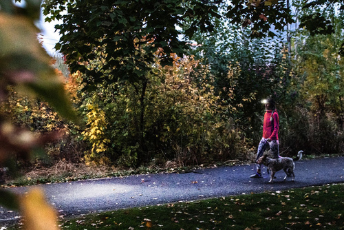 Ledlenser - Налобный фонарь HF4R Core - 500 лм - 1000 мАч - Черный - 502790 - Фонарики на аккумуляторе - Фонарики