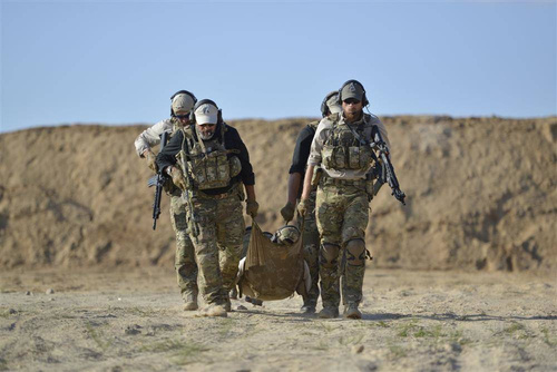 Туризм - Direct Action - Тактичні ноші бойові носилки - MultiCam - PO-CSTR-NLN-MCM - Ноші