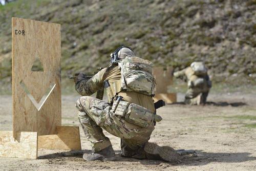 Підсумки медичні - Direct Action - Аптечка першої допомоги Med Pouch Horizontal Mk II® - PenCott WildWood - PO-MDH2-CD5-PWW