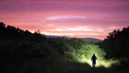 Olight - ARRAY 2S світлодіодний ліхтар / налобний ліхтар з акумулятором 2600mAh - 1000 люмен - Ліхтарики на голову - Ліхтарики