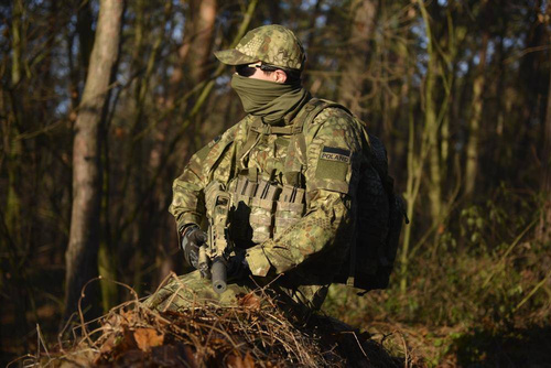 Штани тактичні Helikon - CPU® - Cotton RipStop - Хакі - SP-CPU-CR-13 - Штани тактичні