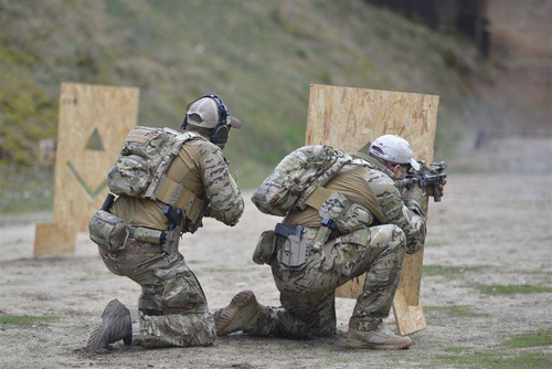 Direct Action - Рюкзак Spitfire Mk II Backpack Panel - 12 л - Adaptive Green - PL-SPBK-CD5-AGR - Рюкзаки міські