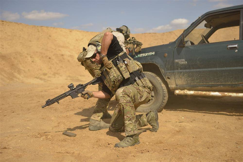 Снаряжение - Direct Action - Подсумок - PenCott WildWood - PO-RFSR-CD5-PWW - Подсумки тактические