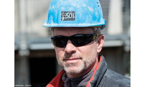 Защитные очки - Bolle Safety - Защитные очки - RUSH+ - Тонированные - RUSHPPSF