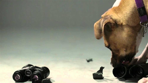 Бинокли - Vortex Optics - Бинокль Crossfire HD 8x42 - CF-4311